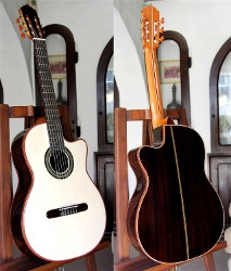 100 Years air dried Brazilian Rosewood B&S, Hauser Braced Alpine Spruce top Guitar