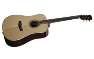Bedell TB-28-G Acoustic Guitar