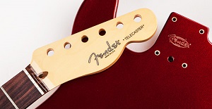 Fender Replacement Necks and Bodies