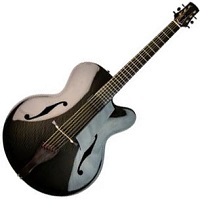 Martin Lewis String Instruments Archtop