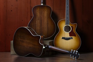 500 Series Guitars