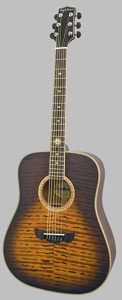 HAG-240 Acoustic Guitar