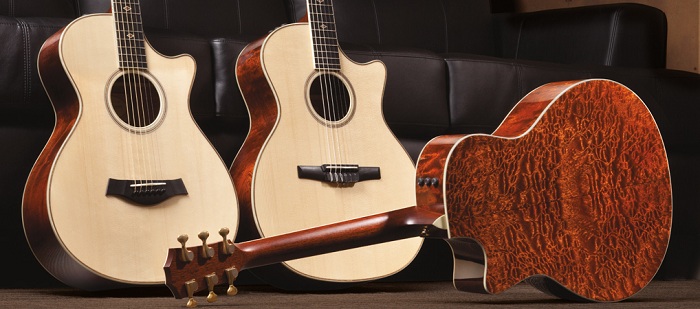 Taylor Fall 2012 Limited Edition Acoustic Guitars