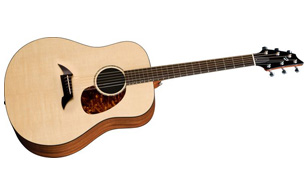 Breedlove American Series Acoustic Guitar