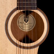 Guild Arcos Acoustic Guitar Series
