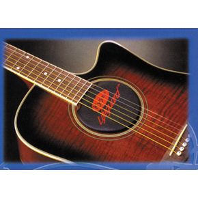 Kyser Lifeguard Acoustic Guitar Humidifier