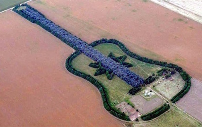 Guitar Shaped Field