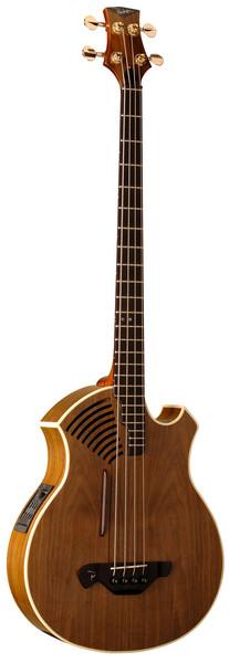PAB40 acoustic/electric bass