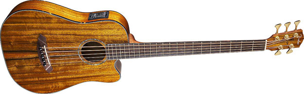 Victor Bailey 5-String Acoustic Bass from Fender